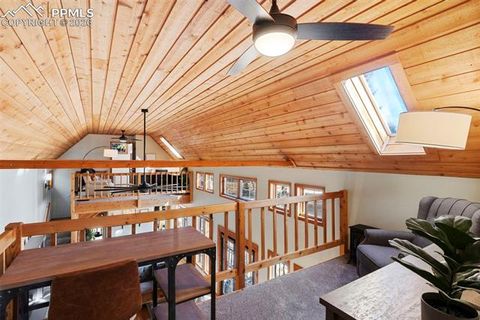 Tiny photo for 219 Pennsylvania Avenue, Woodland Park, CO 80863 (MLS # 2914337)