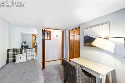 Tiny photo for 219 Pennsylvania Avenue, Woodland Park, CO 80863 (MLS # 2914337)