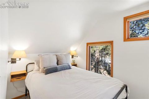 Tiny photo for 219 Pennsylvania Avenue, Woodland Park, CO 80863 (MLS # 2914337)