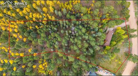 Tiny photo for 219 Pennsylvania Avenue, Woodland Park, CO 80863 (MLS # 2914337)