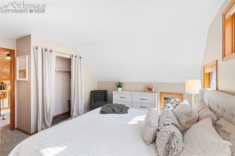 Tiny photo for 219 Pennsylvania Avenue, Woodland Park, CO 80863 (MLS # 2914337)