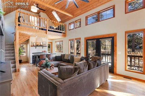 Tiny photo for 219 Pennsylvania Avenue, Woodland Park, CO 80863 (MLS # 2914337)