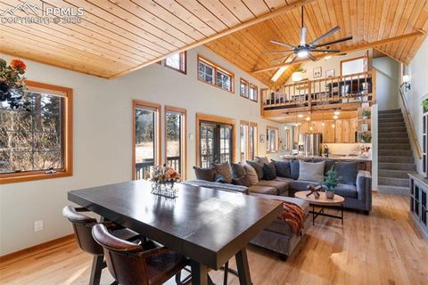 Tiny photo for 219 Pennsylvania Avenue, Woodland Park, CO 80863 (MLS # 2914337)