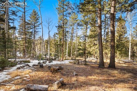 Tiny photo for 219 Pennsylvania Avenue, Woodland Park, CO 80863 (MLS # 2914337)