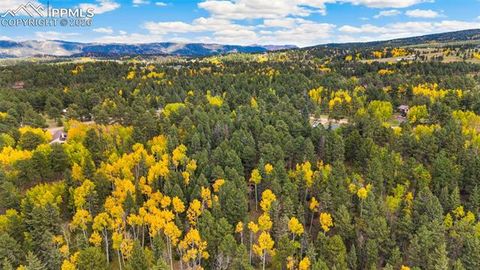 Tiny photo for 219 Pennsylvania Avenue, Woodland Park, CO 80863 (MLS # 2914337)