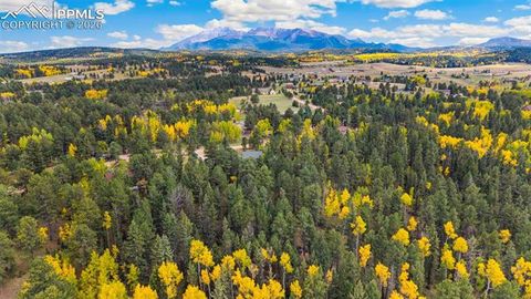 Tiny photo for 219 Pennsylvania Avenue, Woodland Park, CO 80863 (MLS # 2914337)