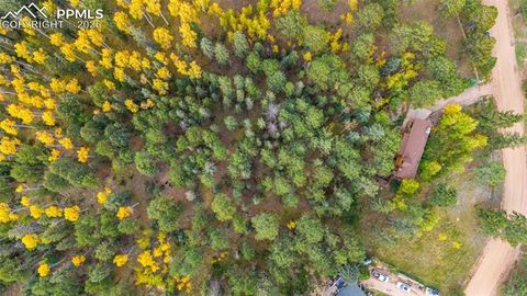 Tiny photo for 219 Pennsylvania Avenue, Woodland Park, CO 80863 (MLS # 2914337)