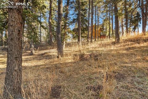 Tiny photo for 219 Pennsylvania Avenue, Woodland Park, CO 80863 (MLS # 2914337)