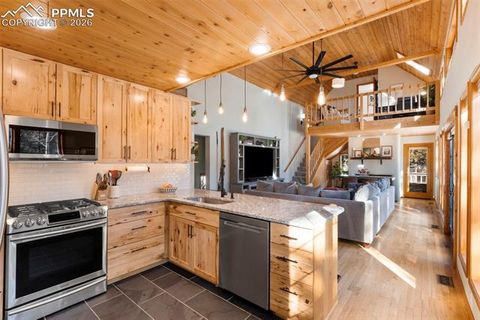 Tiny photo for 219 Pennsylvania Avenue, Woodland Park, CO 80863 (MLS # 2914337)
