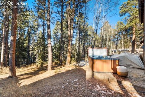Tiny photo for 219 Pennsylvania Avenue, Woodland Park, CO 80863 (MLS # 2914337)