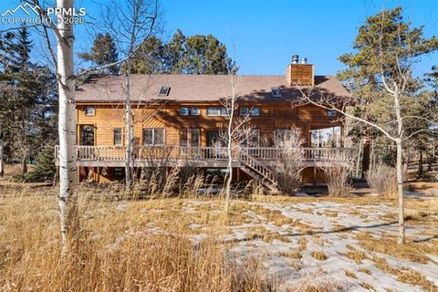 Tiny photo for 219 Pennsylvania Avenue, Woodland Park, CO 80863 (MLS # 2914337)