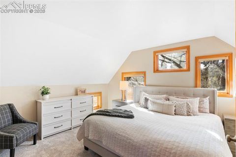 Tiny photo for 219 Pennsylvania Avenue, Woodland Park, CO 80863 (MLS # 2914337)