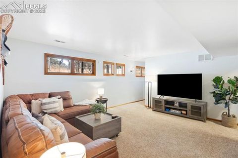 Tiny photo for 219 Pennsylvania Avenue, Woodland Park, CO 80863 (MLS # 2914337)