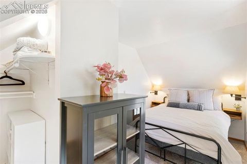 Tiny photo for 219 Pennsylvania Avenue, Woodland Park, CO 80863 (MLS # 2914337)