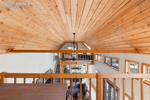 Tiny photo for 219 Pennsylvania Avenue, Woodland Park, CO 80863 (MLS # 2914337)