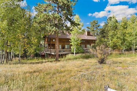 Tiny photo for 219 Pennsylvania Avenue, Woodland Park, CO 80863 (MLS # 2914337)