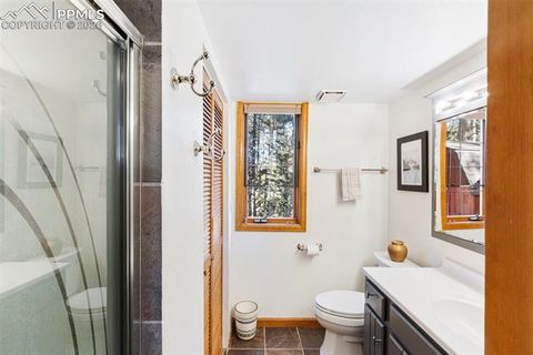 Tiny photo for 219 Pennsylvania Avenue, Woodland Park, CO 80863 (MLS # 2914337)