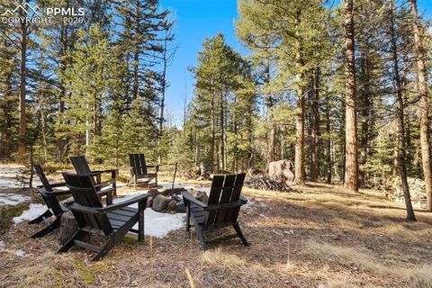 Tiny photo for 219 Pennsylvania Avenue, Woodland Park, CO 80863 (MLS # 2914337)