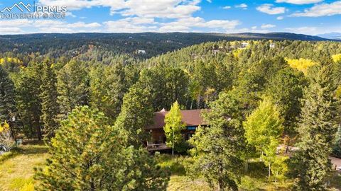 Tiny photo for 219 Pennsylvania Avenue, Woodland Park, CO 80863 (MLS # 2914337)