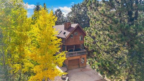 Tiny photo for 219 Pennsylvania Avenue, Woodland Park, CO 80863 (MLS # 2914337)