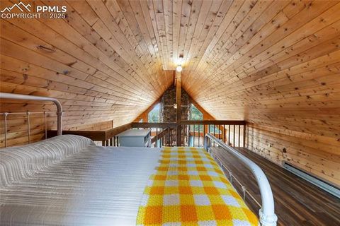 Tiny photo for 795 S Mountain Estates Road, Florissant, CO 80816 (MLS # 9757638)