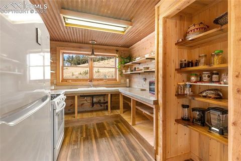 Tiny photo for 795 S Mountain Estates Road, Florissant, CO 80816 (MLS # 9757638)