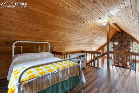 Tiny photo for 795 S Mountain Estates Road, Florissant, CO 80816 (MLS # 9757638)