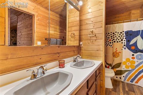 Tiny photo for 795 S Mountain Estates Road, Florissant, CO 80816 (MLS # 9757638)