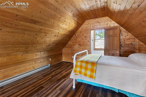 Tiny photo for 795 S Mountain Estates Road, Florissant, CO 80816 (MLS # 9757638)