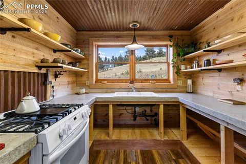 Tiny photo for 795 S Mountain Estates Road, Florissant, CO 80816 (MLS # 9757638)