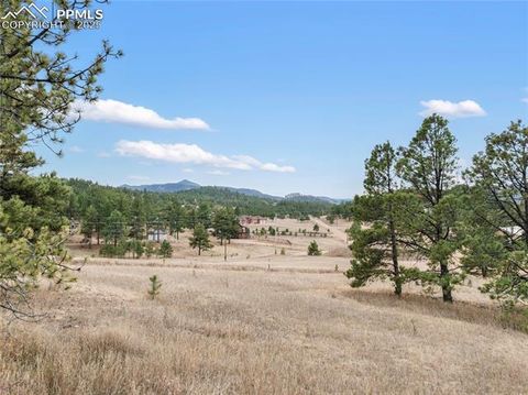 Tiny photo for 795 S Mountain Estates Road, Florissant, CO 80816 (MLS # 9757638)