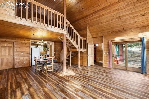 Tiny photo for 795 S Mountain Estates Road, Florissant, CO 80816 (MLS # 9757638)