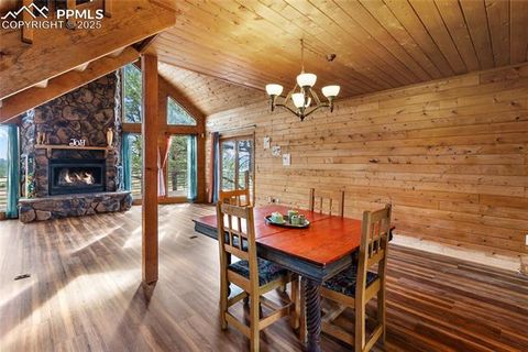 Tiny photo for 795 S Mountain Estates Road, Florissant, CO 80816 (MLS # 9757638)