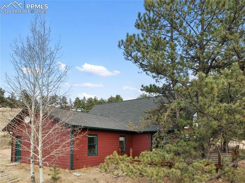 Tiny photo for 795 S Mountain Estates Road, Florissant, CO 80816 (MLS # 9757638)