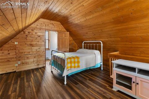 Tiny photo for 795 S Mountain Estates Road, Florissant, CO 80816 (MLS # 9757638)