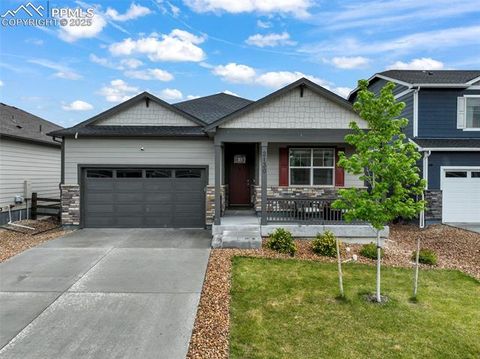 Photo of 2130 Indian Balsam Drive, Monument, CO 80132 (MLS # 9891398)