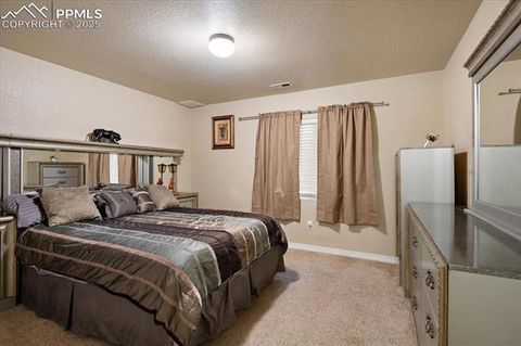 Tiny photo for 5330 Barnstormers Avenue, Colorado Springs, CO 80911 (MLS # 1766059)