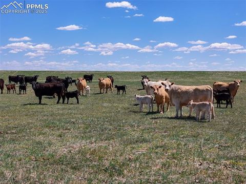 18497 County Road 197 Limon CO 80828