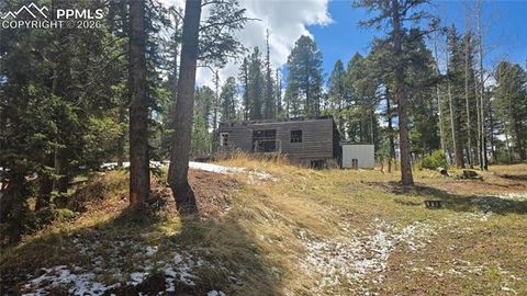 Photo of 129 Mt Elbert Road, Florissant, CO 80816 (MLS # 9511512)