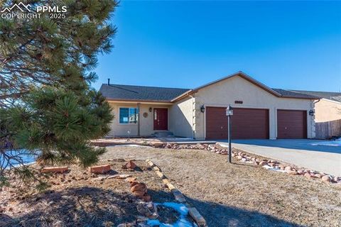 10931 Redington Drive Falcon CO 80831