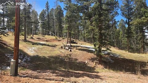 Photo of 151 Mt Elbert Road, Florissant, CO 80816 (MLS # 6497511)