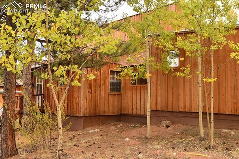 Photo of 3800 Doe Valley Road, Guffey, CO 80820 (MLS # 8978497) Photo of 3800 Doe Valley Road, Guffey, CO 80820 (MLS # 8978497)