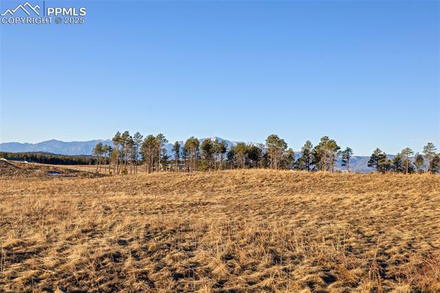 12691 Eagle Forest Drive