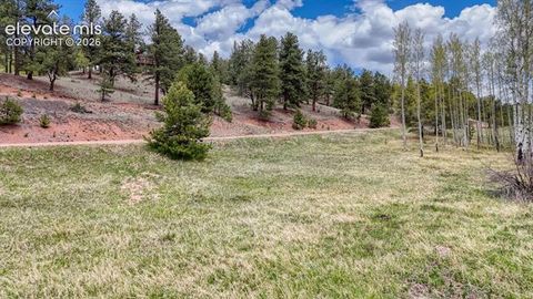 Photo of 42 Rabbit Circle, Florissant, CO 80816 (MLS # 1654795)