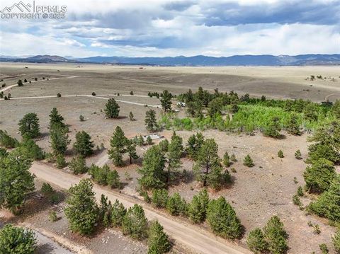 Photo of 614 Yellowstone Road, Hartsel, CO 80449 (MLS # 7290336)