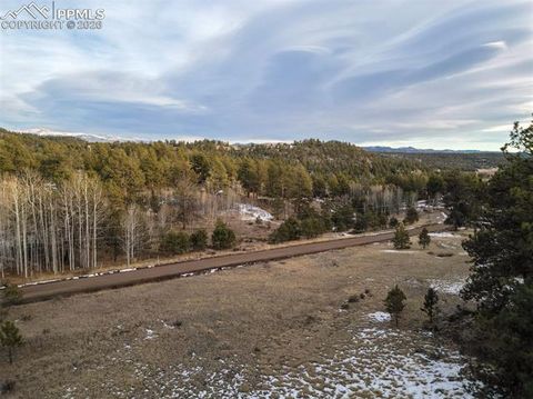 Photo of 527 Plateau Drive, Guffey, CO 80820 (MLS # 2454157)