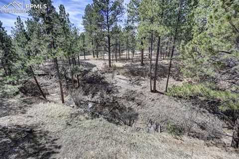 Tiny photo for 18320 Sloan Lane, Monument, CO 80132 (MLS # 5958562)