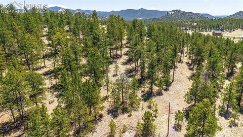 56 Dallas Park Circle Florissant CO 80816
