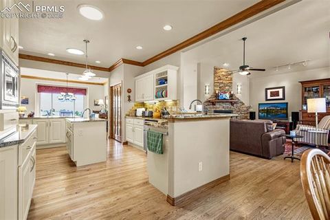 Tiny photo for 240 Mission Hill Way, Colorado Springs, CO 80921 (MLS # 1032554)