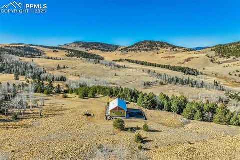 Tiny photo for 1440 N Range Road, Guffey, CO 80820 (MLS # 4260875)